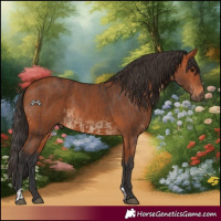 Horse Color:Bay and Bay