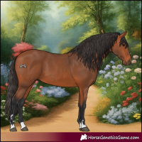 Horse Color:Bay 