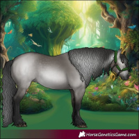 Horse Color:Gray Grullo 
