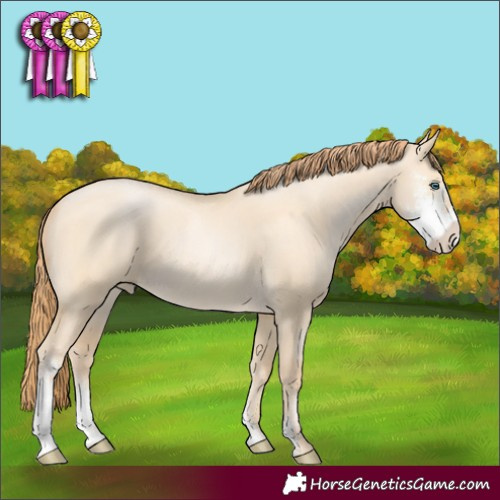 Horse Color:Buckskin Pearl Dun Sabino 