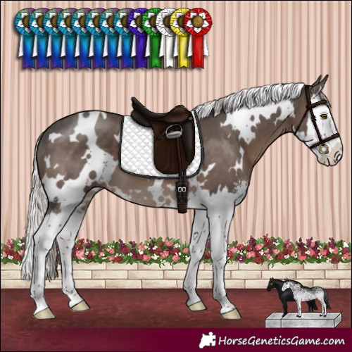Horse Color:White Spotted Silver Black Sabino Splash 