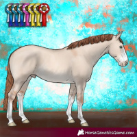 Horse Color:Gold Champagne Dun Sabino