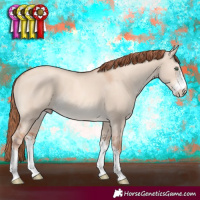 Horse Color:Gold Champagne Dun Sabino