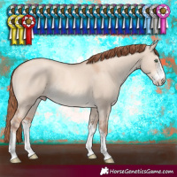 Horse Color:Gold Champagne Dun Sabino 