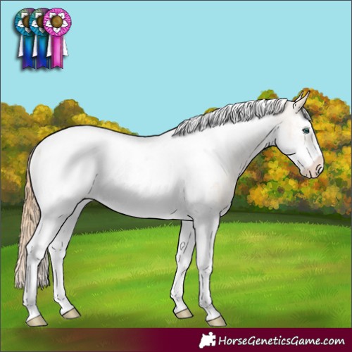 Horse Color:Smoky Black Pearl Sabino Tobiano Frame Appaloosa Rabicano 