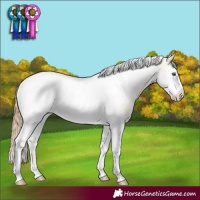 Horse Color:Smoky Black Pearl Sabino Tobiano Frame Appaloosa Rabicano 