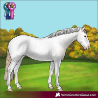 Horse Color:Smoky Black Pearl Sabino Tobiano Frame Appaloosa Rabicano 
