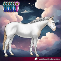 Horse Color:Smoky Black Pearl Sabino Tobiano Frame Blanket Rabicano 