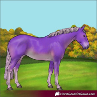 Horse Color:Watercolor Chocolate Palomino Mushroom 