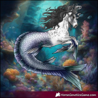 Horse Color:White Spotted Black Splash Tobiano Frame Appaloosa 