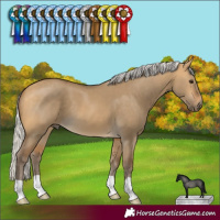 Horse Color:Silver Buckskin Dun