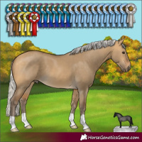 Horse Color:Silver Buckskin Dun 