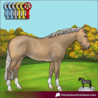 Horse Color:Silver Buckskin Dun 