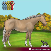 Horse Color:Silver Buckskin Dun