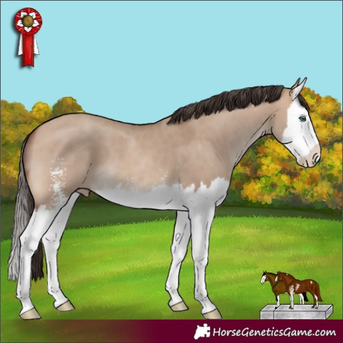 Horse Color:Sable Champagne Dun Sabino Splash 