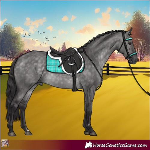 Horse Color:Platinum Buckskin Dun 