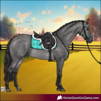 Horse Color:Platinum Buckskin Dun 
