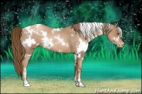 Horse Color:White Spotted Liver Chestnut Pearl