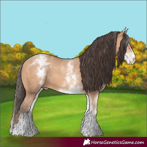 Horse Color:White Spotted Amber Champagne 