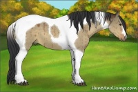 Horse Color:Bay Dun Tobiano