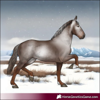 Horse Color:Gray Chestnut 