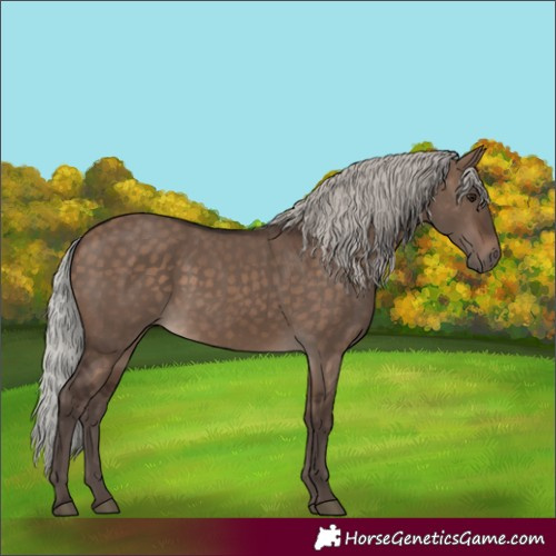 Horse Color:Silver Brown Dun