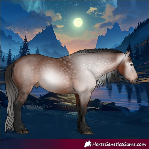 Horse Color:Gray Bay