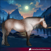 Horse Color:Gray Bay 