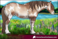 Horse Color:White Spotted Blue Onyx Pearl 