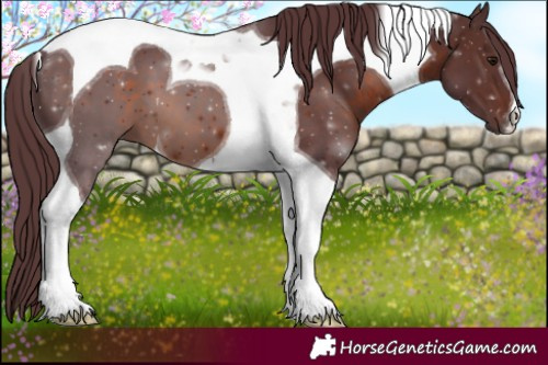Horse Color:Chocolate Brown Tobiano 