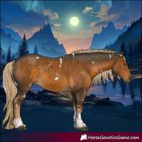 Horse Color:White Spotted Chocolate Palomino Tobiano Rabicano