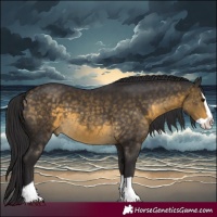 Horse Color:Buckskin Splash