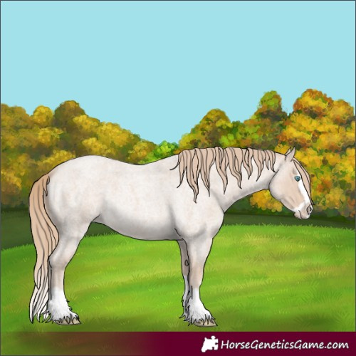 Horse Color:Smoky Creme Roan Splash 