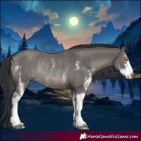 Horse Color:Grullo Sabino Rabicano