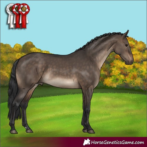Horse Color:Brown Dun 