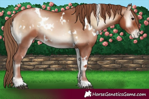 Horse Color:White Spotted Blue Onyx Pearl 