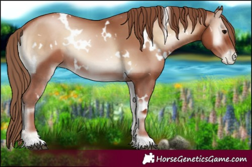 Horse Color:White Spotted Blue Onyx Pearl 