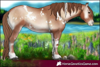 Horse Color:White Spotted Blue Onyx Pearl 