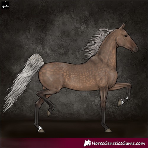 Horse Color:Silver Brown Dun 