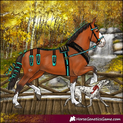 Horse Color:Bay 