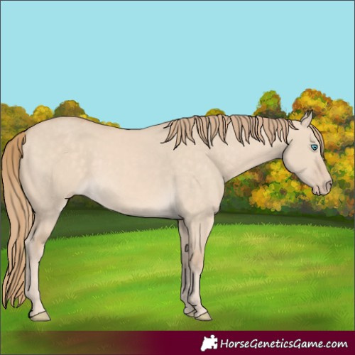Horse Color:Perlino Dun 