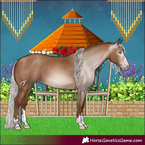 Horse Color:Gray Silver Sable Champagne 