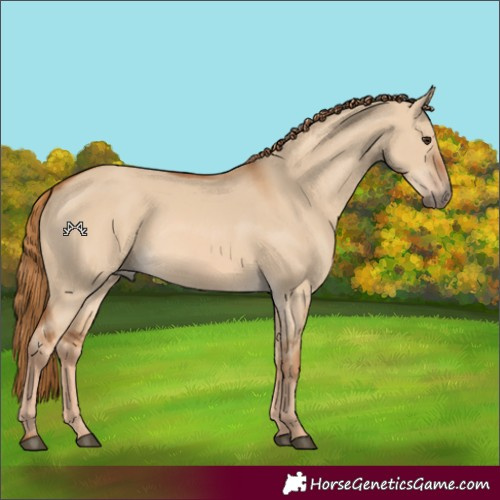 Horse Color:Red Dun 