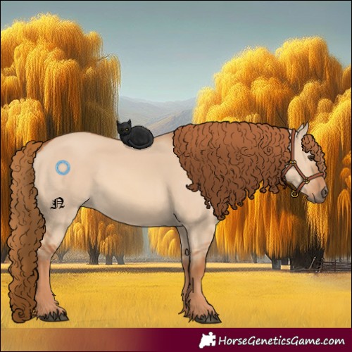 Horse Color:Red Dun 