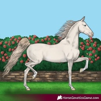 Horse Color:Smoky Creme Dun Tobiano 