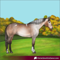 Horse Color:Gray Bay Tobiano Varnish