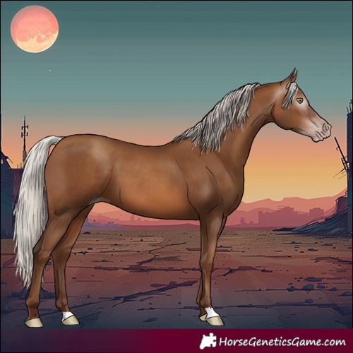 Horse Color:Gray Silver Sable Champagne 