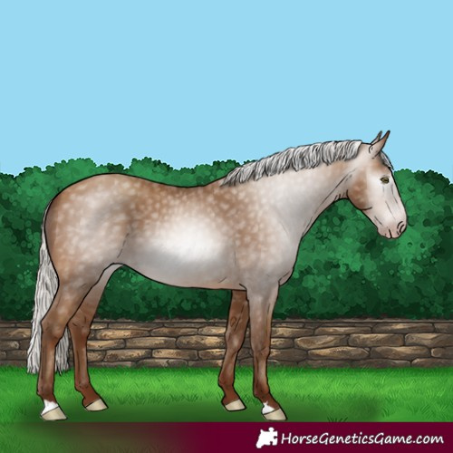 Horse Color:Gray Silver Sable Champagne 