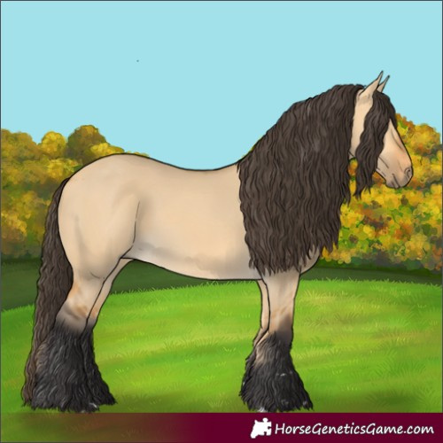 Horse Color:Buckskin Dun 