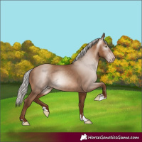 Horse Color:Gray Silver Sable Champagne 
